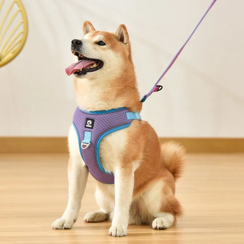 Adjustable dog harness with breathable mesh and reflective piping in black red grey light purple colours