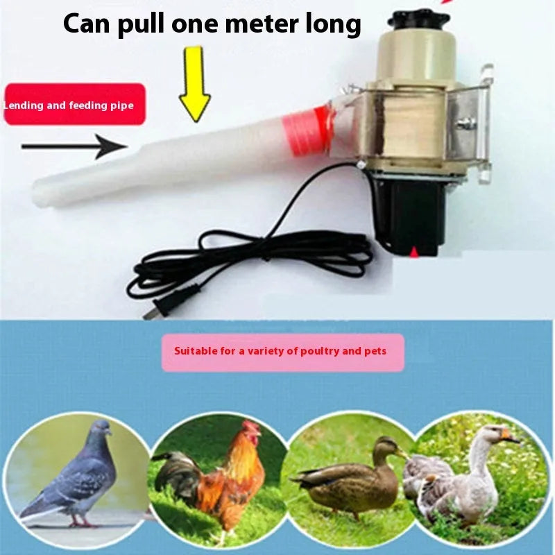 Automatic chicken feeding device with solar panel and timer control for poultry management