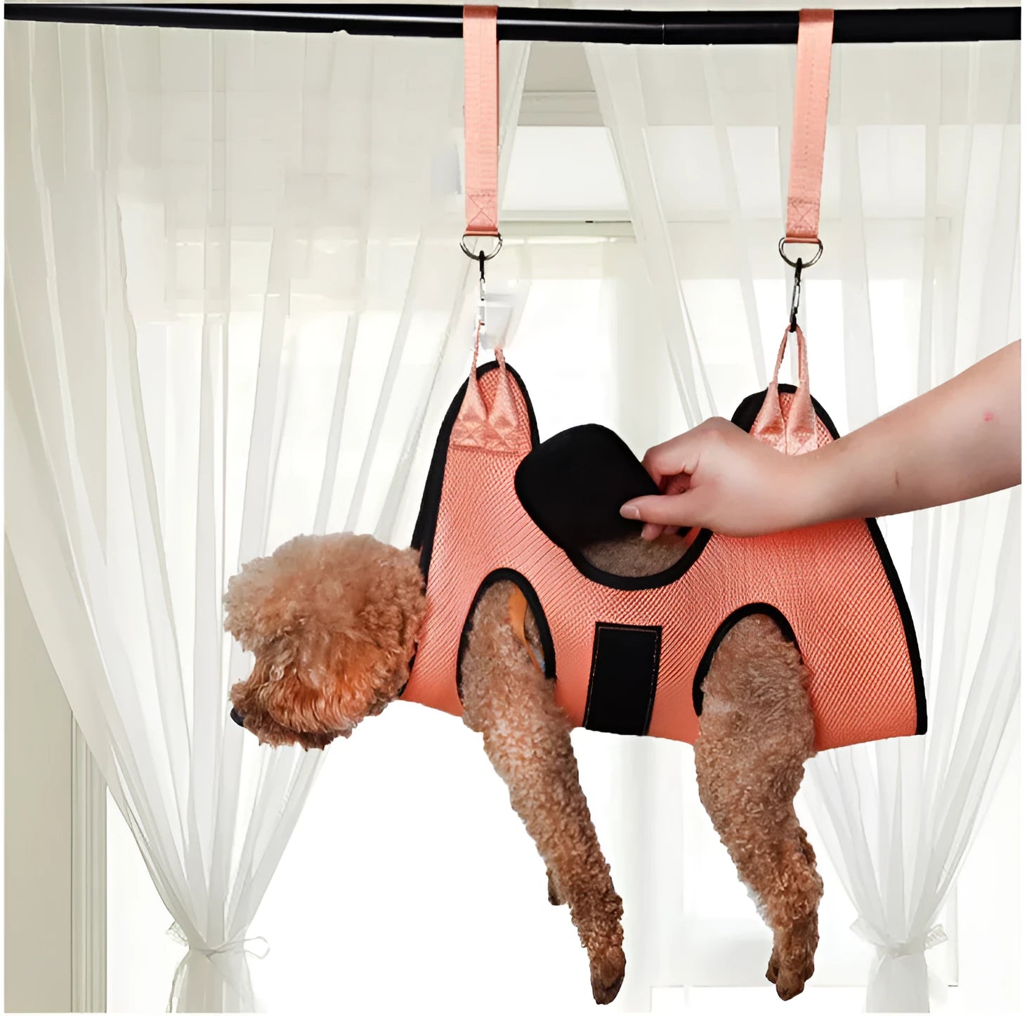 Cat grooming restraint bag with hanging hammock in three measured sizes for nail trimming and bath time