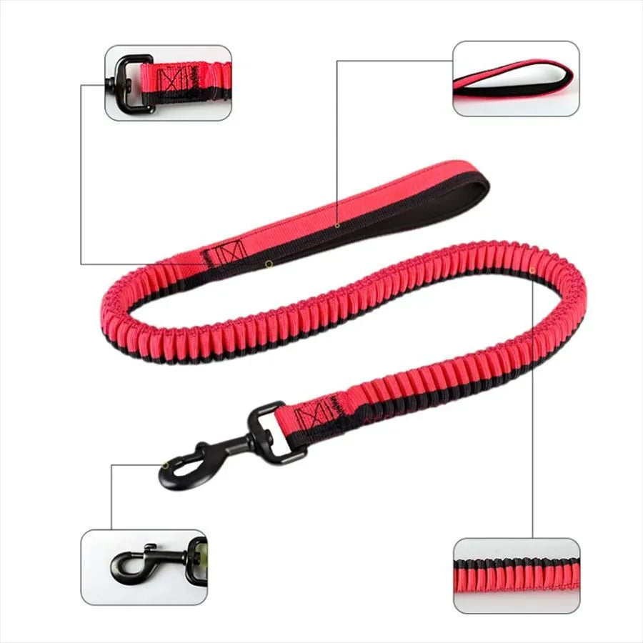 Green elastic dog training leash with rotating metal clip for medium and large breeds
