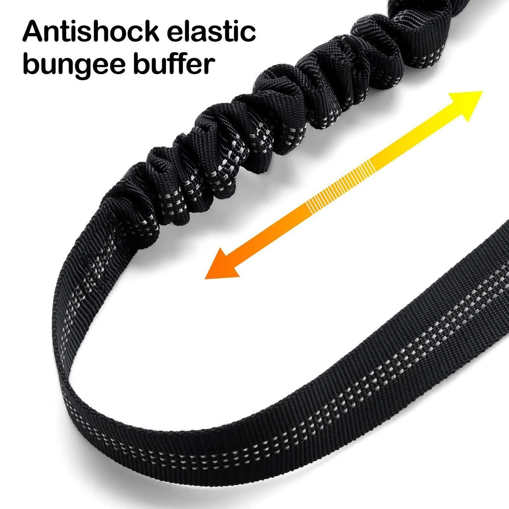 Nylon dog tow rope leash with metal buckle in a choice of eleven colours