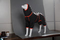 Red dog shell jacket with cotton padding shown on model dog with sports-style design