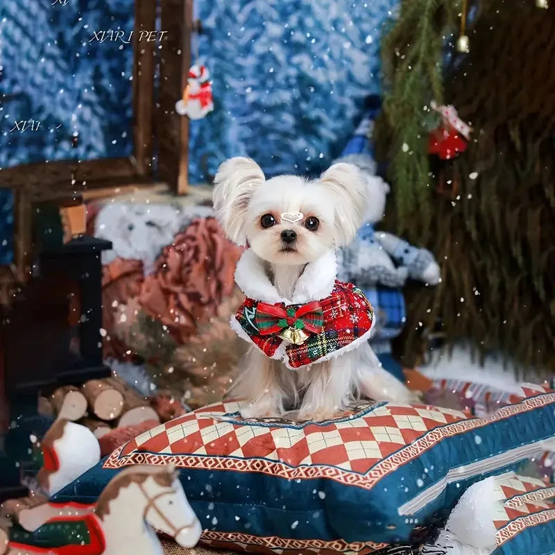 Red background dog scarf with bell pattern draped on a small dog's back for Christmas.