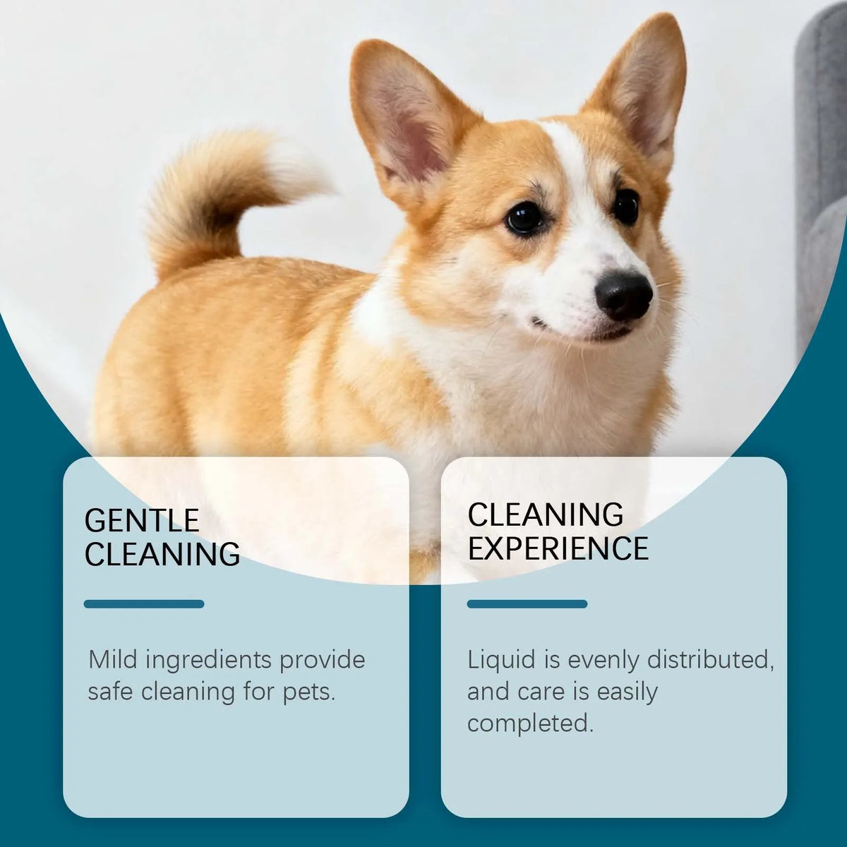 60ml bottle of dog ear care drops with glycerin bisabolol and chamomile extract