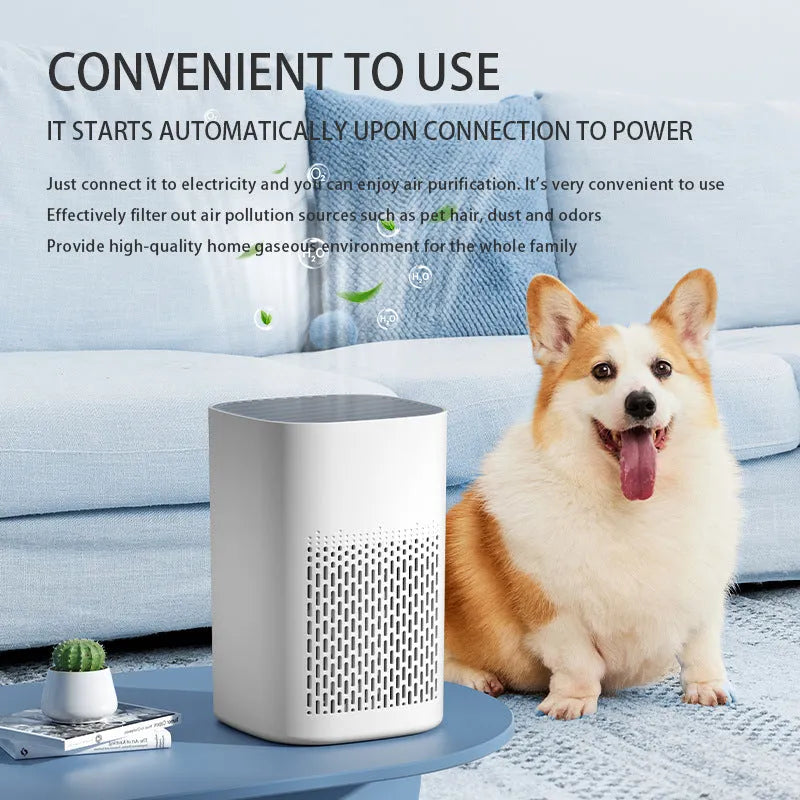 Simple style desktop air purifier unit with USB cable connection