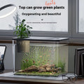 Compact black or white plastic Betta fish tank with a lid, dimensions 32cm wide by 23cm high.