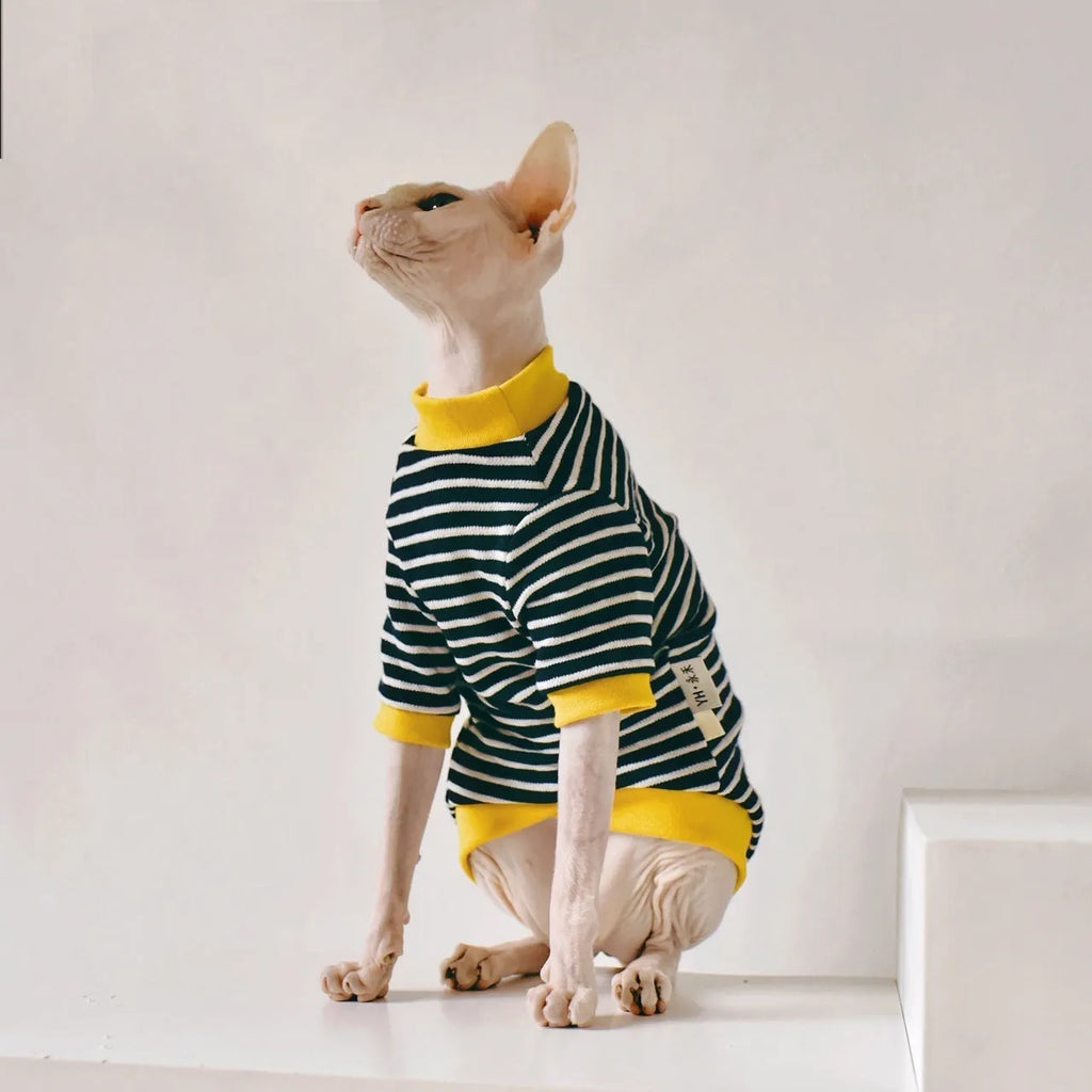 Black cotton sweater for Sphinx hairless cat, available in multiple sizes from XS to XXL