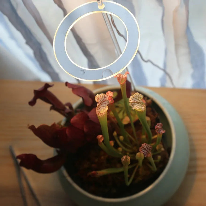 USB LED full spectrum grow light for indoor plants with transparent body and aluminium components