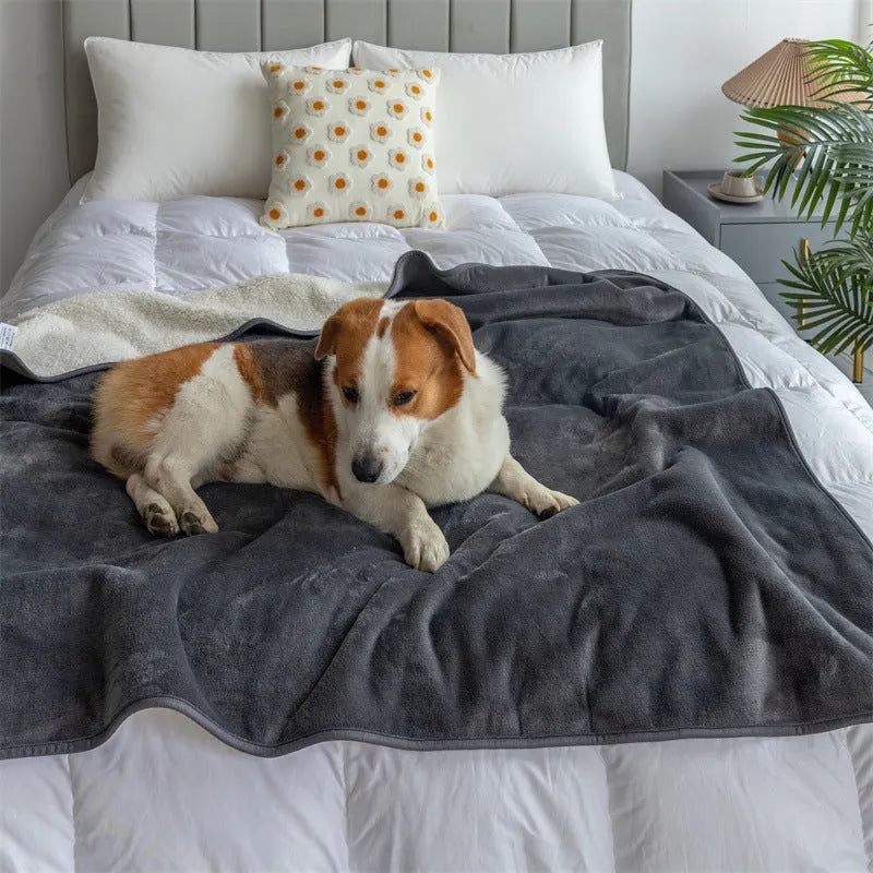 Lambswool waterproof dog blanket in grey colour laid flat showing size scale