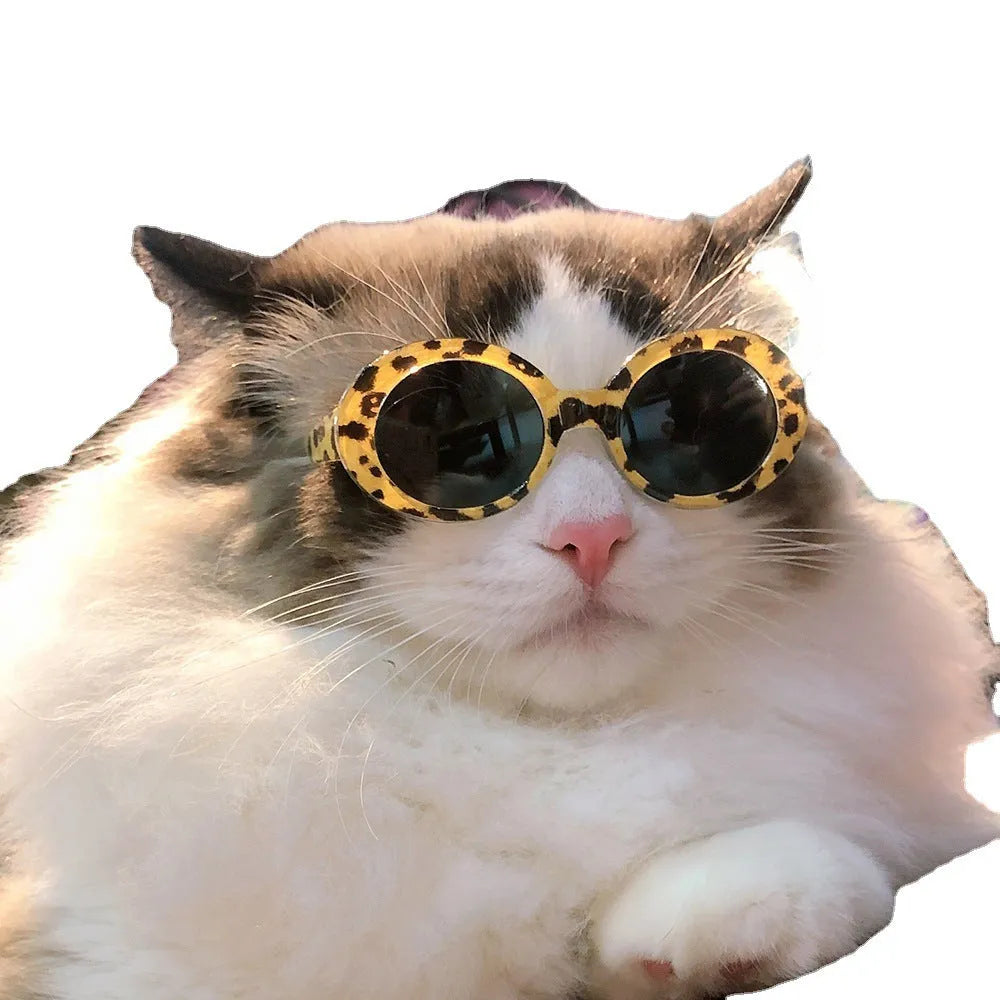 Pet dog cat multi-color sunglasses with round resin frame and UV380 PC lenses in black and gray