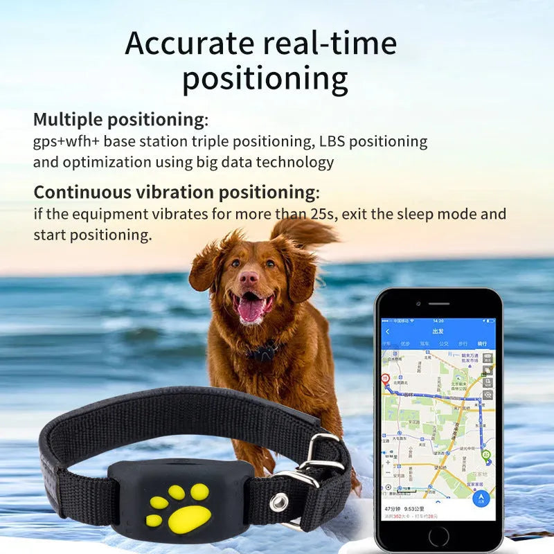 A compact black and yellow waterproof GPS tracker for pets, shown with a dog collar.