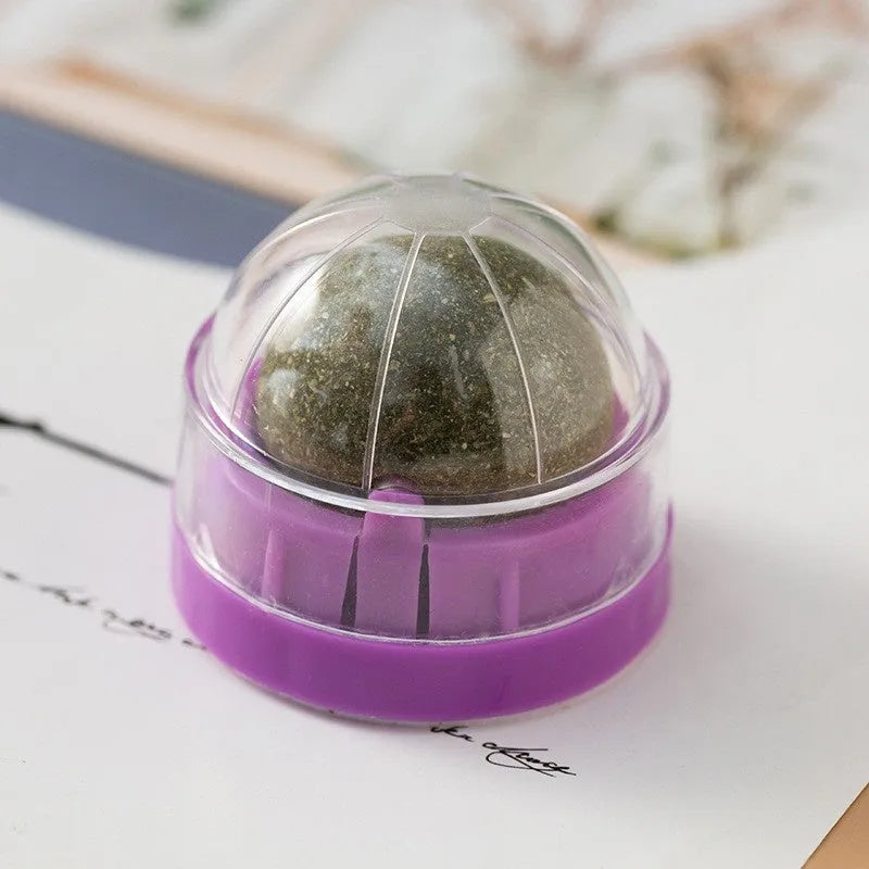 Plastic catnip ball toy for dental care in various colours with textured chewing surface