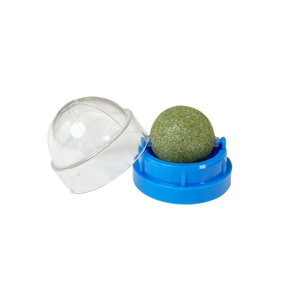 Plastic catnip ball toy for dental care in various colours with textured chewing surface