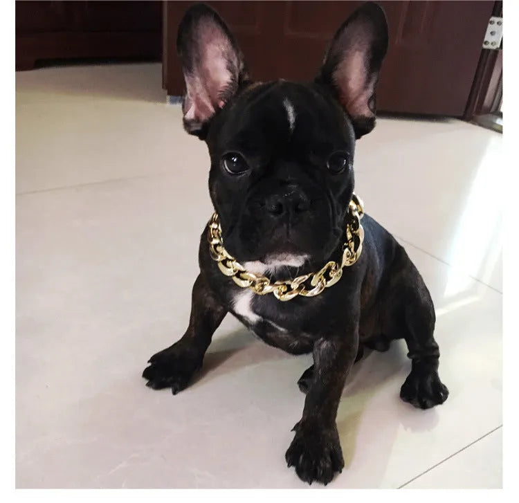 Gold colour dog collar with chain buckle and geometric design for small to medium sized pets