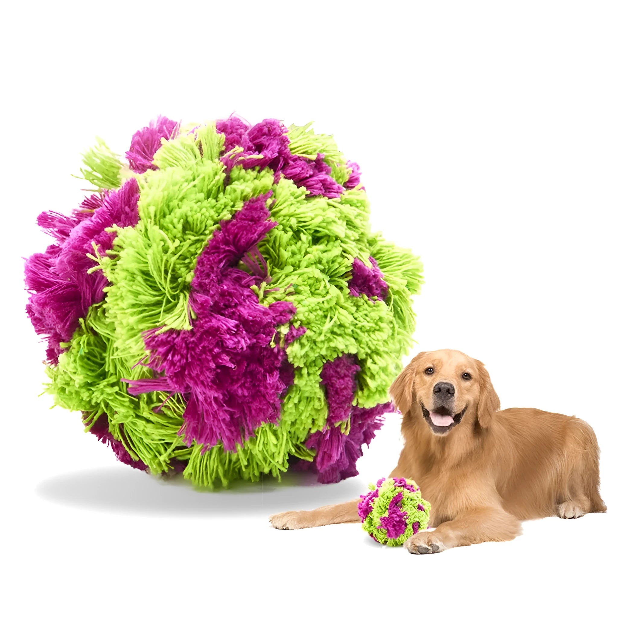 Purple sea urchin plush dog chew ball with multiple protruding sections for teething relief