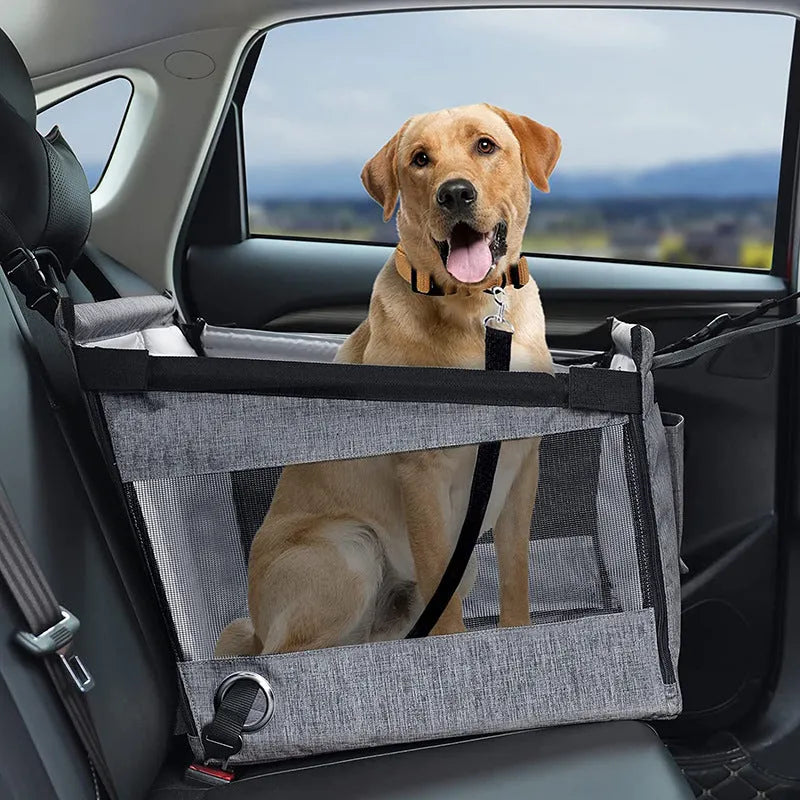 Oxford cloth foldable dog crate in black, shown next to a car