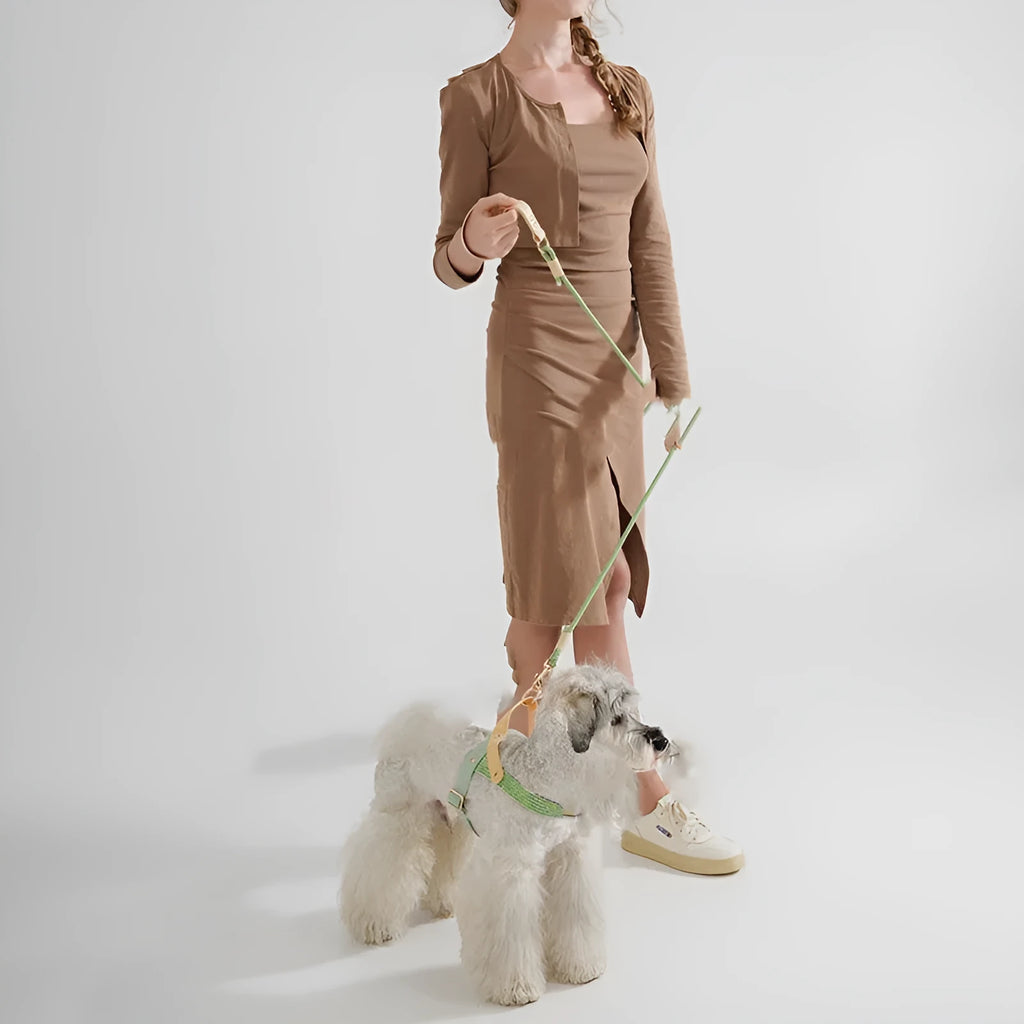 Dog hand holding rope leash with buckle in Shadow White or Wizard of Oz Green colours