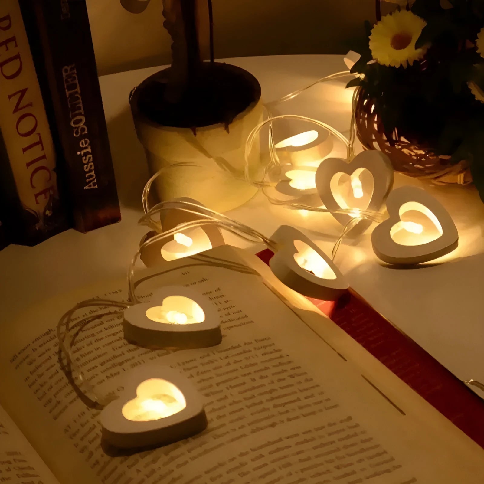 Wooden love lantern string with warm white LEDs on a USB battery cable