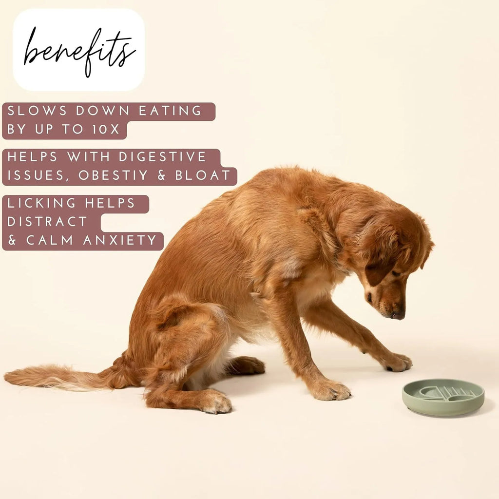 Silicone slow feeder dog bowl with textured ridges and lick mat design.