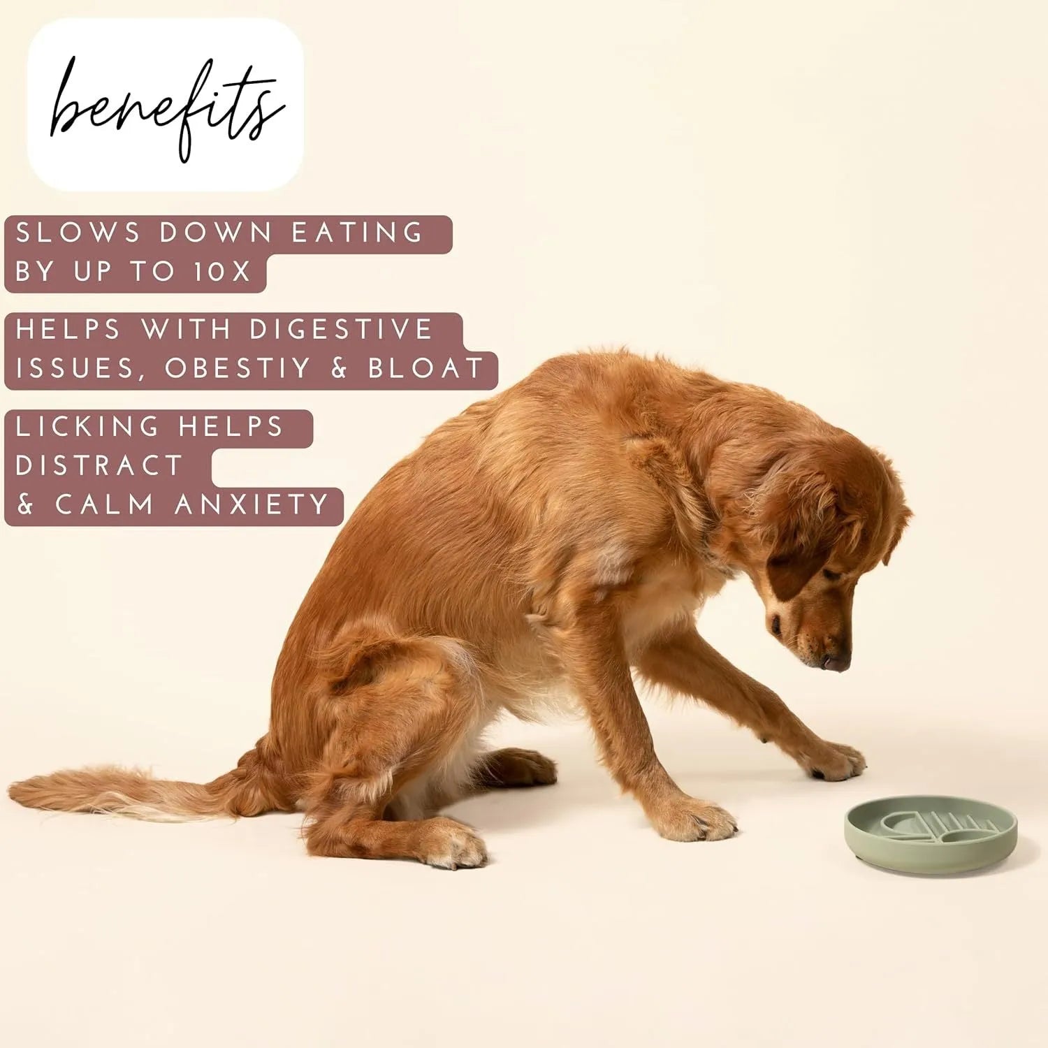 Silicone slow feeder dog bowl with textured ridges and lick mat design.