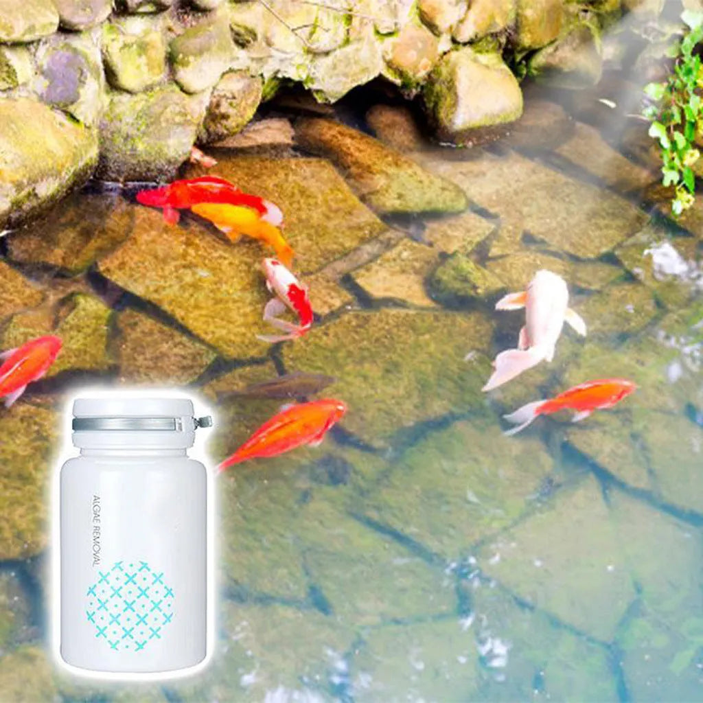 50g algaecide container for swimming pool and aquarium algae control treatment