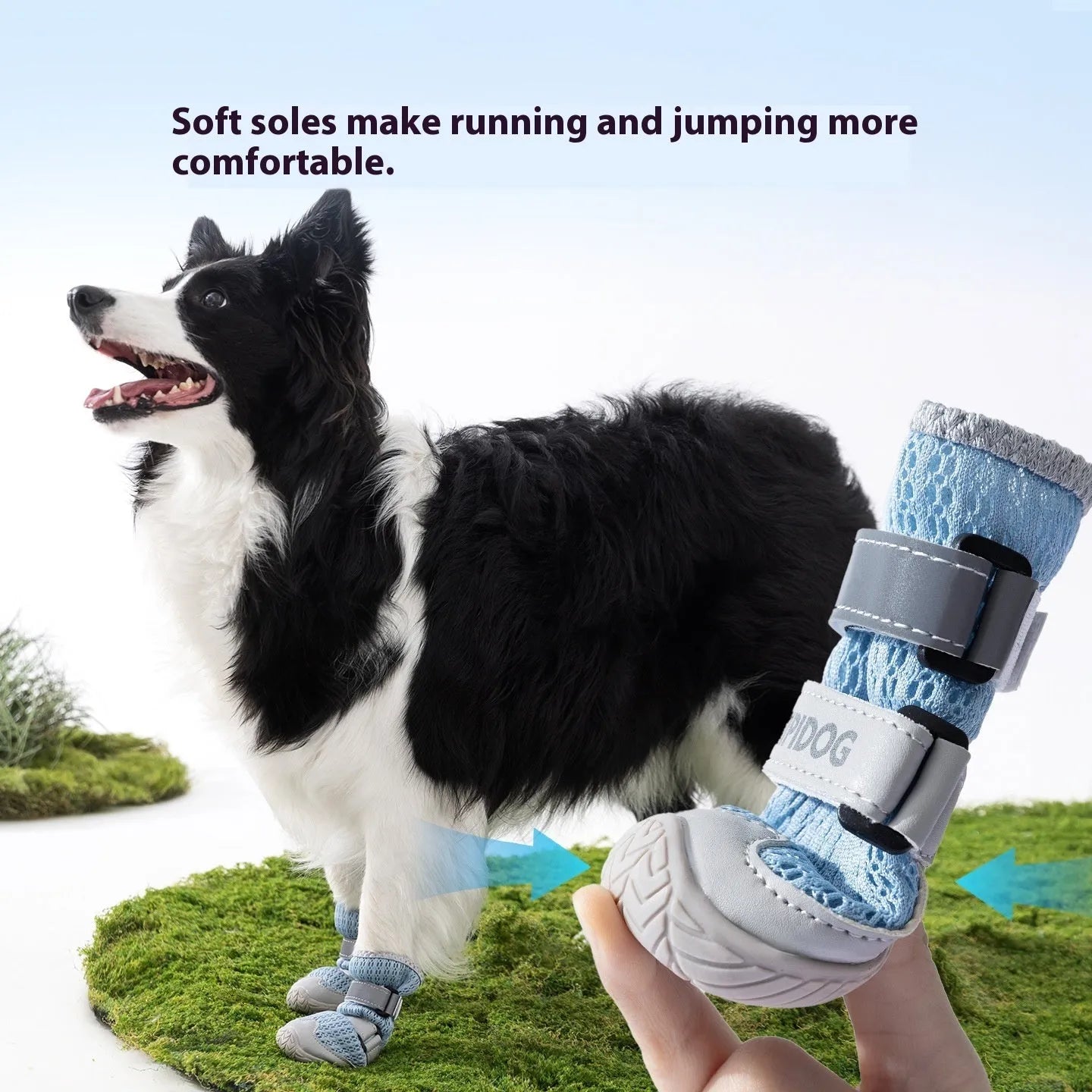 Cartoon-style blue and green dog shoes with breathable PU material and wear-resistant soles on a summer pavement.
