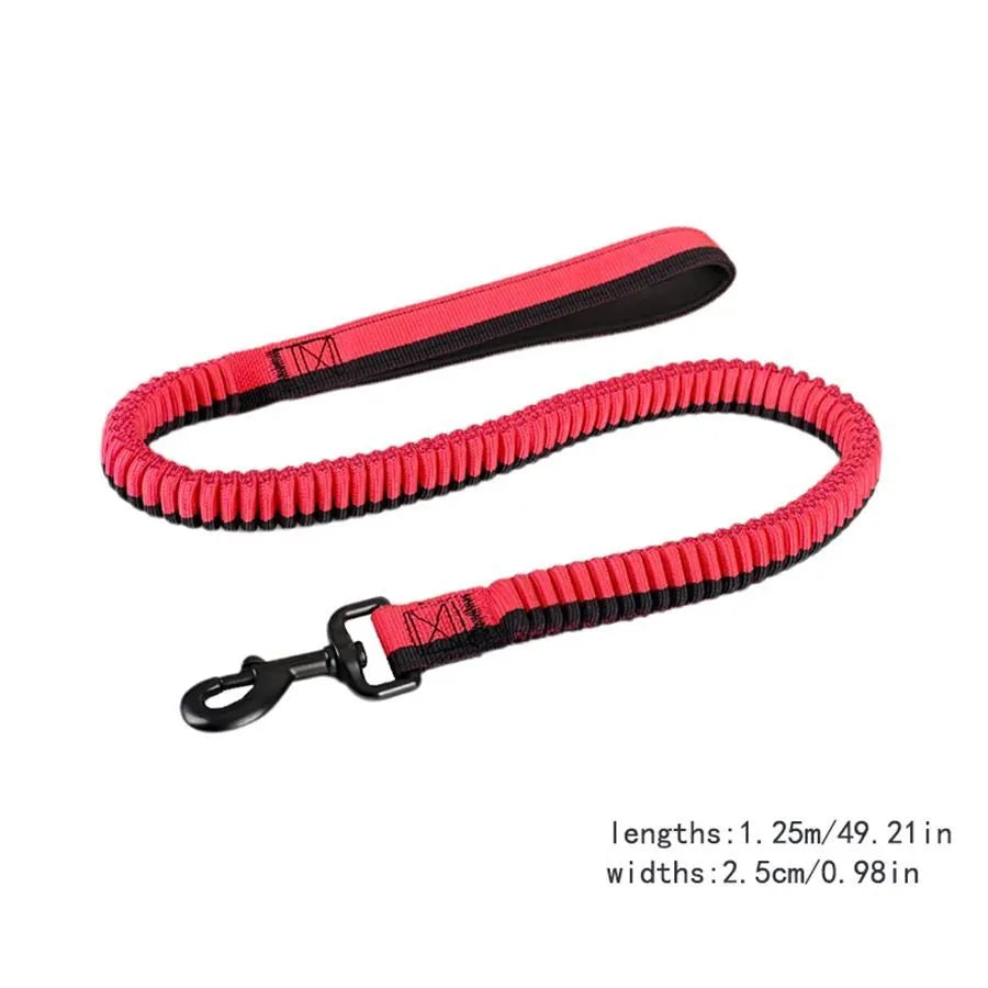 Green elastic dog training leash with rotating metal clip for medium and large breeds