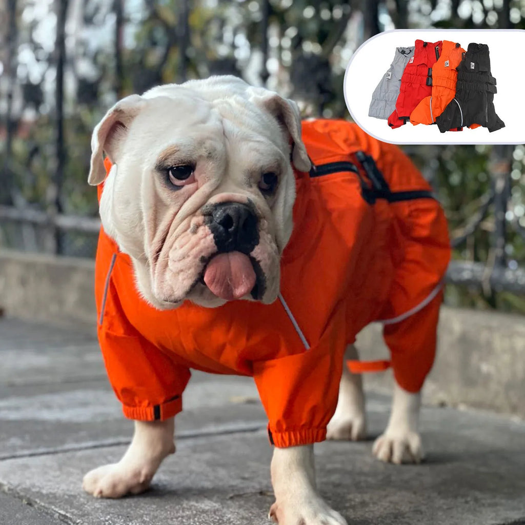 Outdoor four legged dog raincoat in polyester, black colour, on a dog standing in wet grass