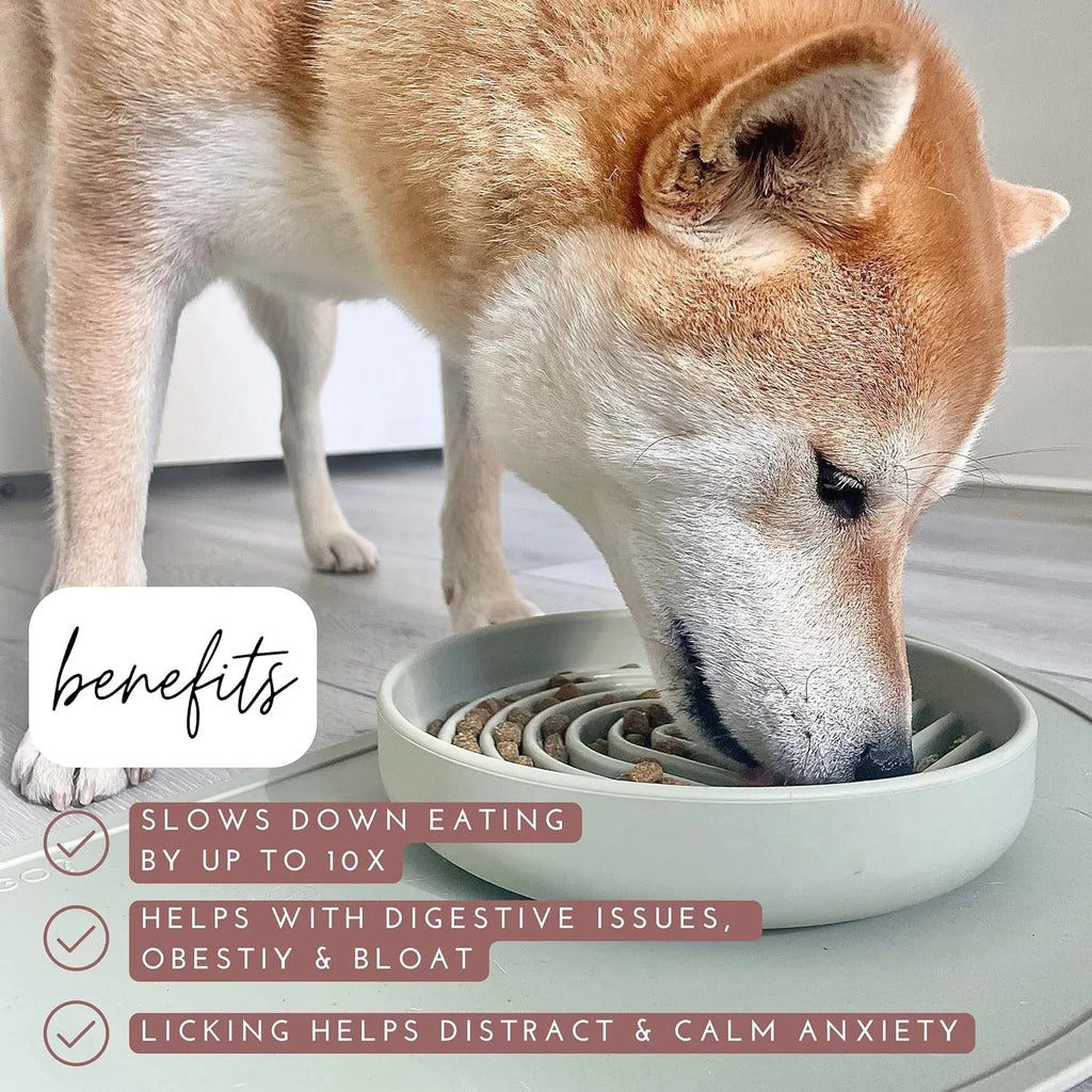 Silicone slow feeder dog bowl with textured ridges and lick mat design.