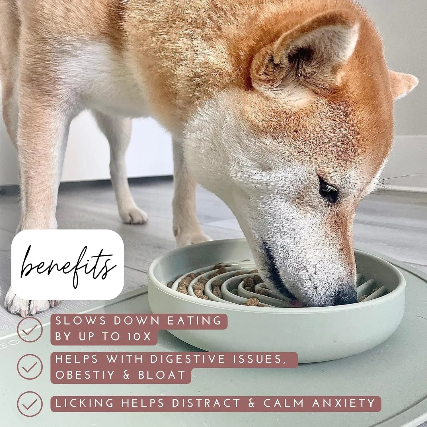 Silicone slow feeder dog bowl with textured ridges and lick mat design.