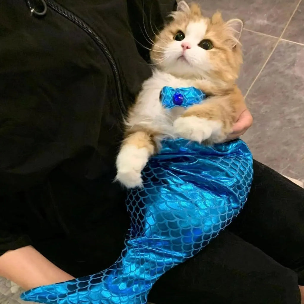 Blue mermaid costume with scale design on a cat, showing elastic fit and long fish tail.
