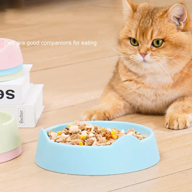 Blue ceramic dog slow feeder bowl with raised maze pattern for fast-eating dogs.