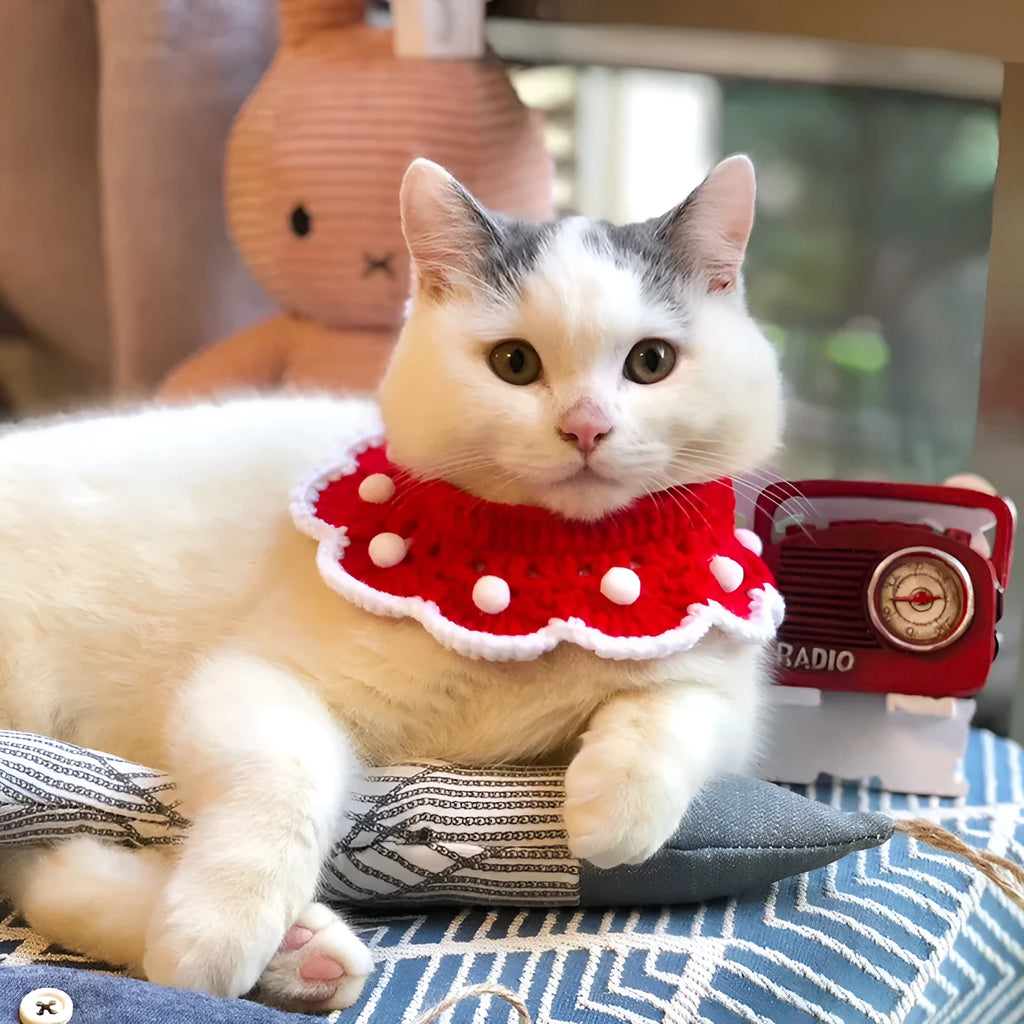 Cartoon pattern wool knitted collar for small pets in milk cotton, shown in multiple sizes.