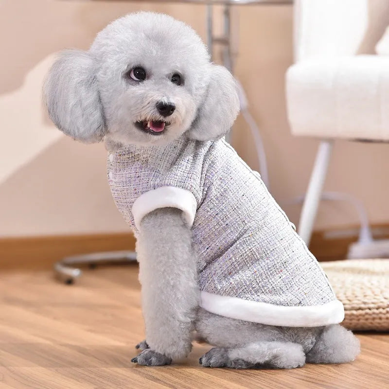 Black PU sausage jacket costume on a cat showing jacket-style design