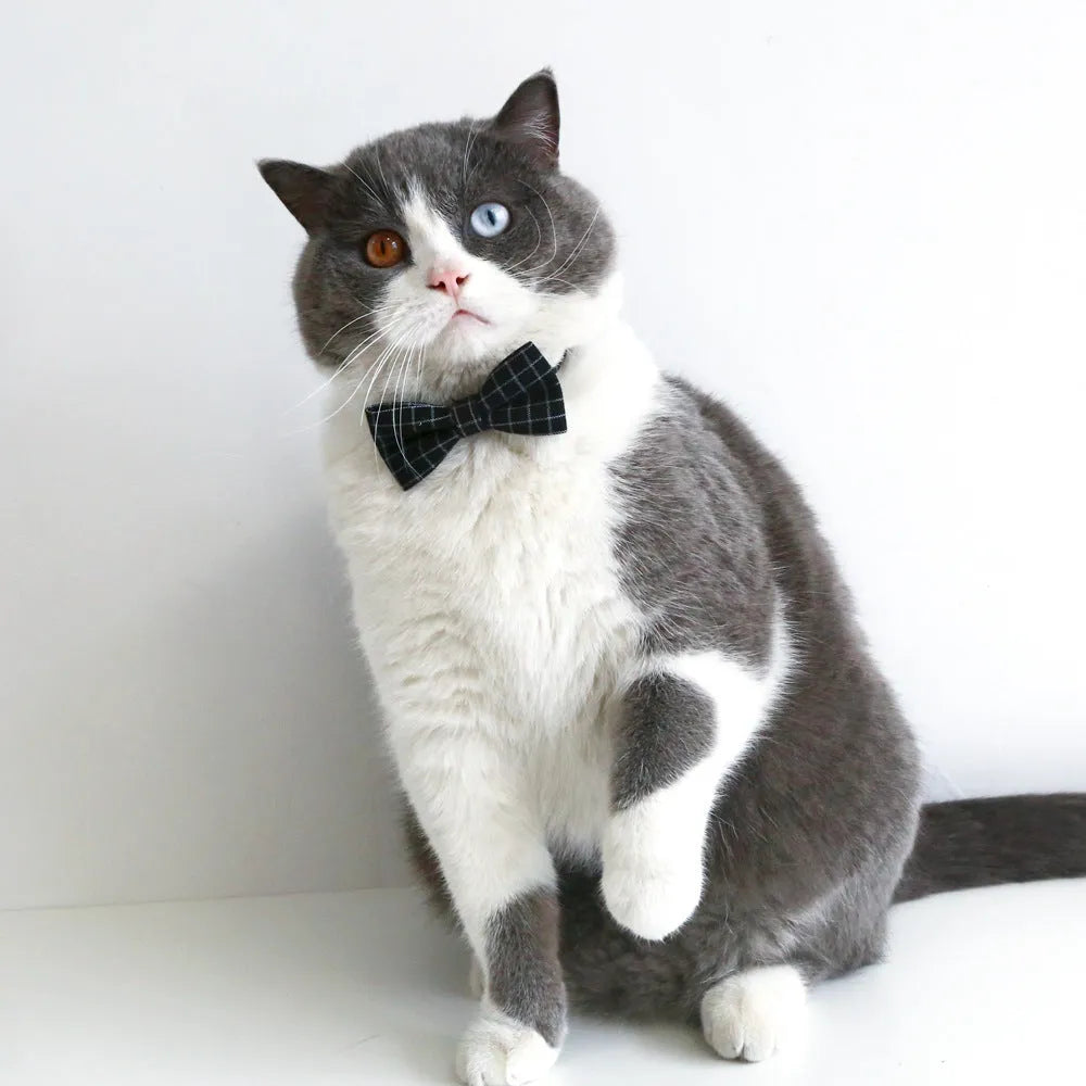 Yellow wool felt hair band and matching bow tie on a small dog, size S for pets 2.5-10 kg.