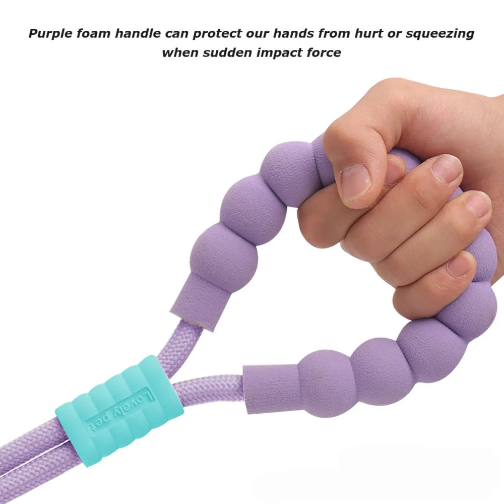 Nylon dog traction leash with foam handle showing colour options
