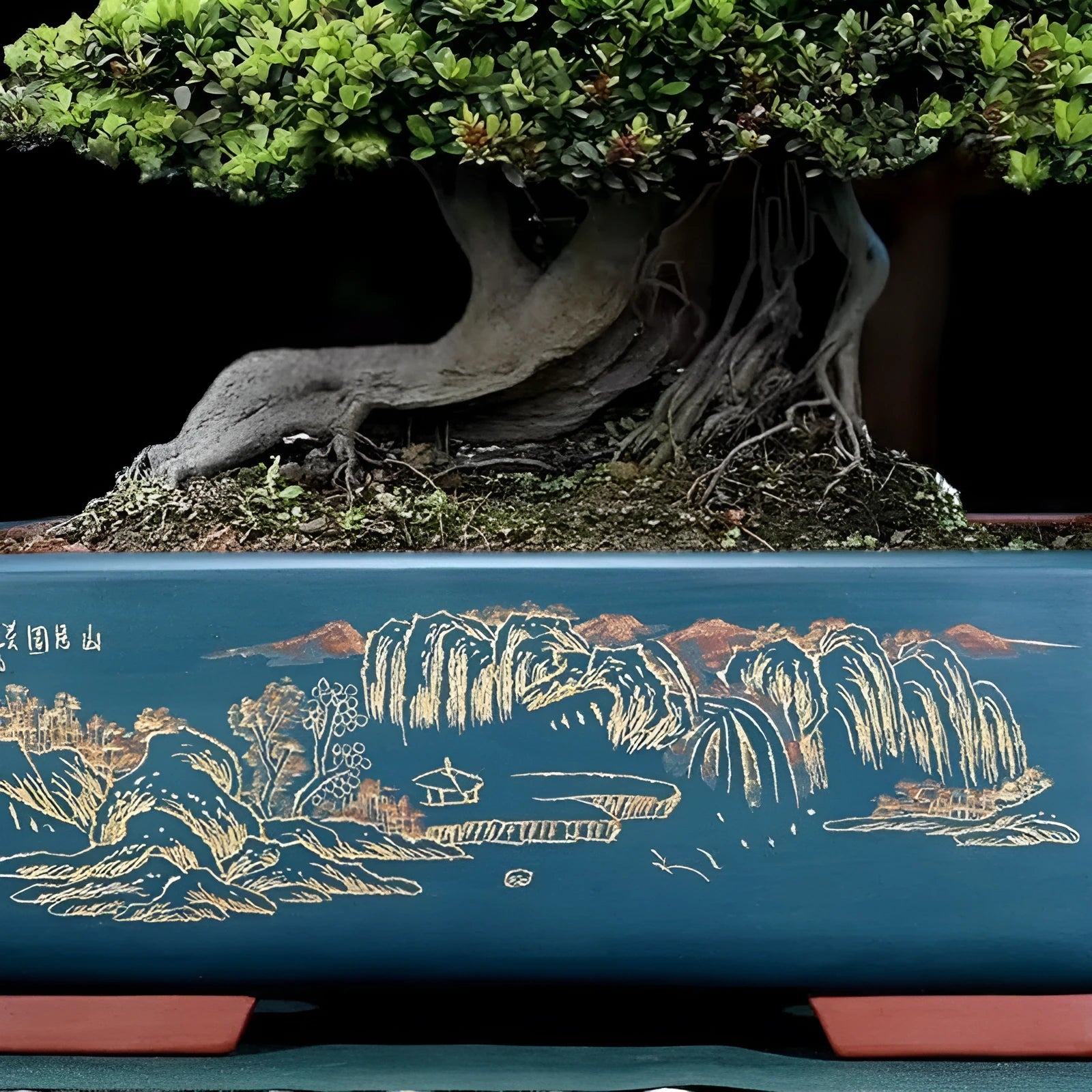 A large rectangular purple clay bonsai planter with a deep bowl, shown in a choice of blue, black, or red glaze.