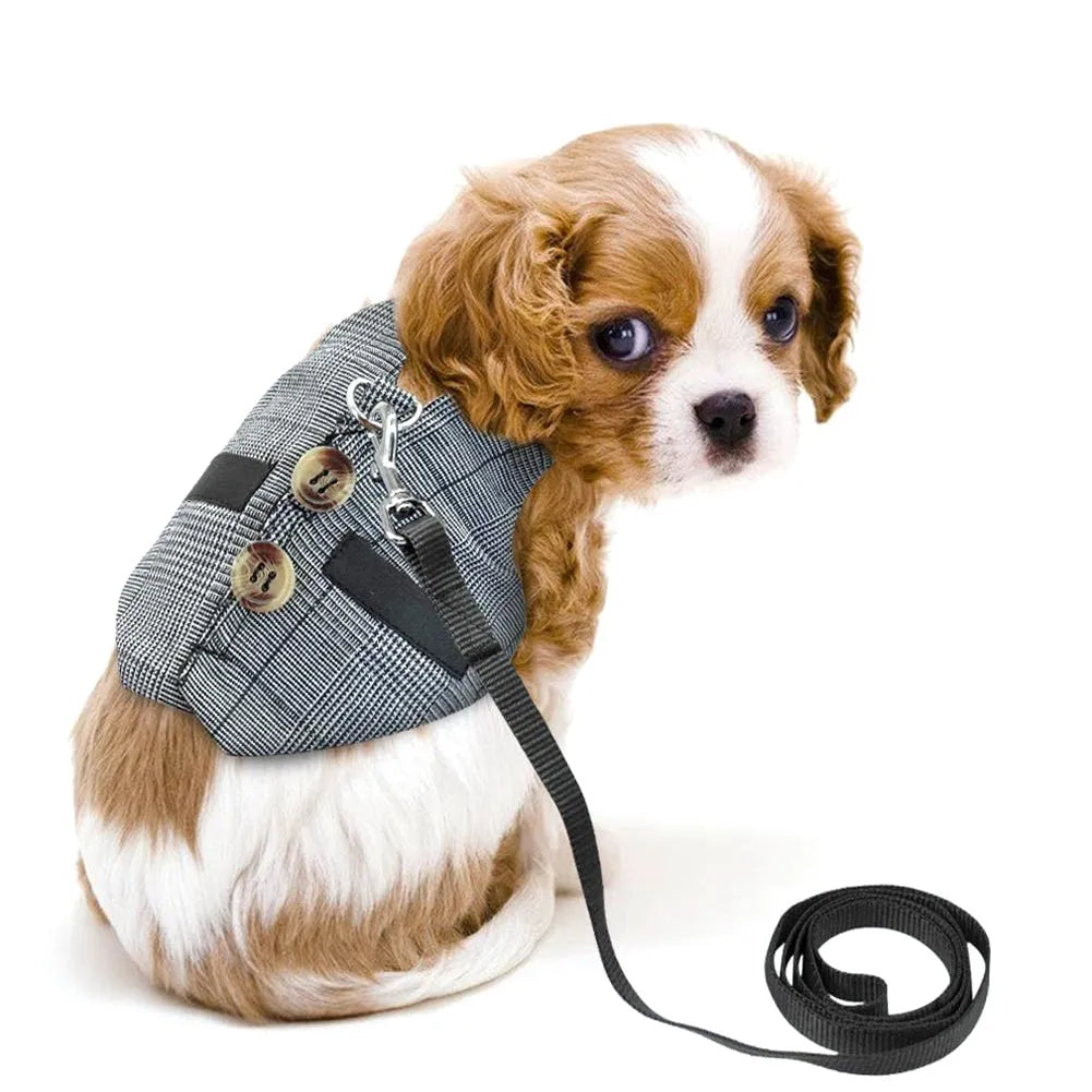 Grey cloth rabbit chest harness and leash set for small pets