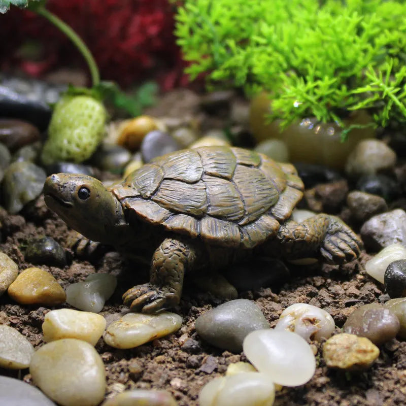 Micro landscape simulation little turtle resin decoration for miniature gardens