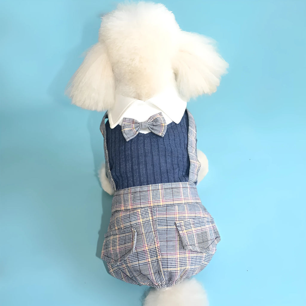 Cotton button-up dog shirt in dark blue or orange available in five sizes