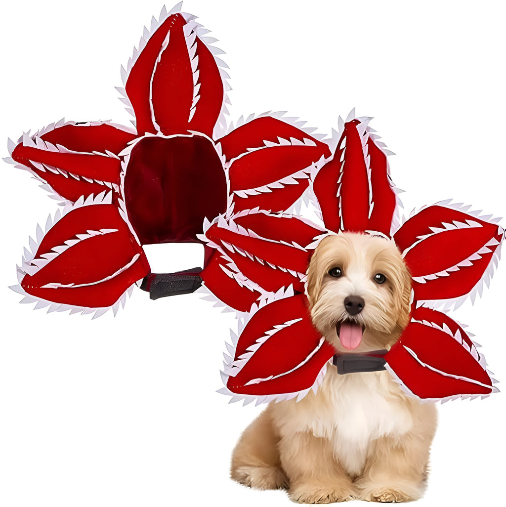 Dog wearing Halloween chomper costume with demon hat and scary headband flower