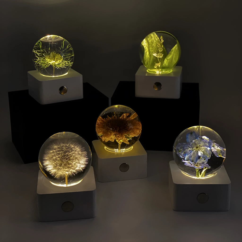 Small 8cm decorative night light with preserved dandelion and sunflower specimen on desk