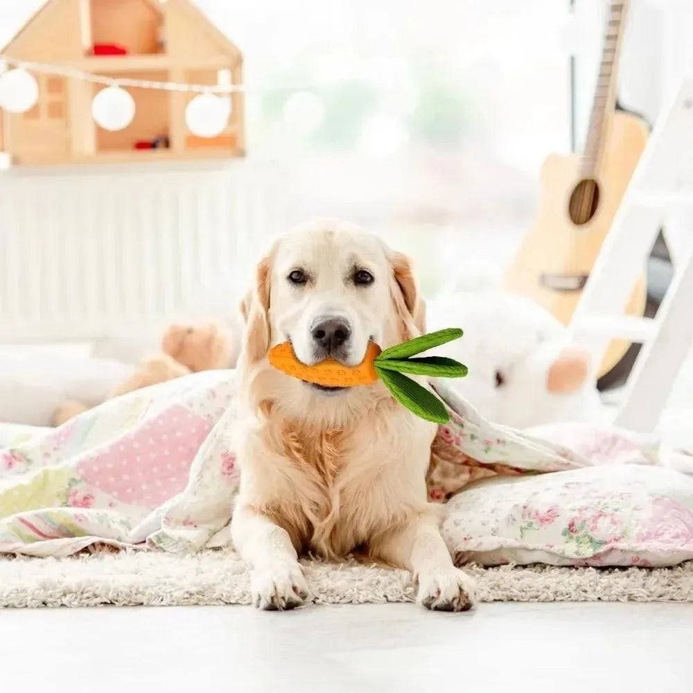 Orange carrot-shaped rubber and plush dog chew toy with squeaker, 21x5x5cm, on a solid background.
