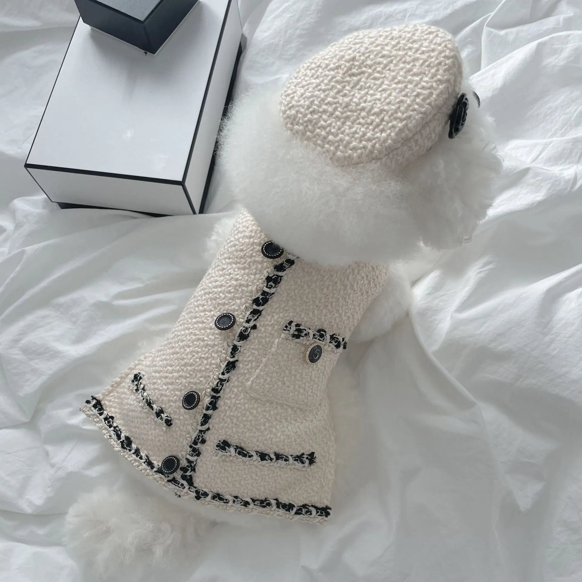 Small pet wearing knitted hat in black or beige, chemical fibre, 40cm head circumference