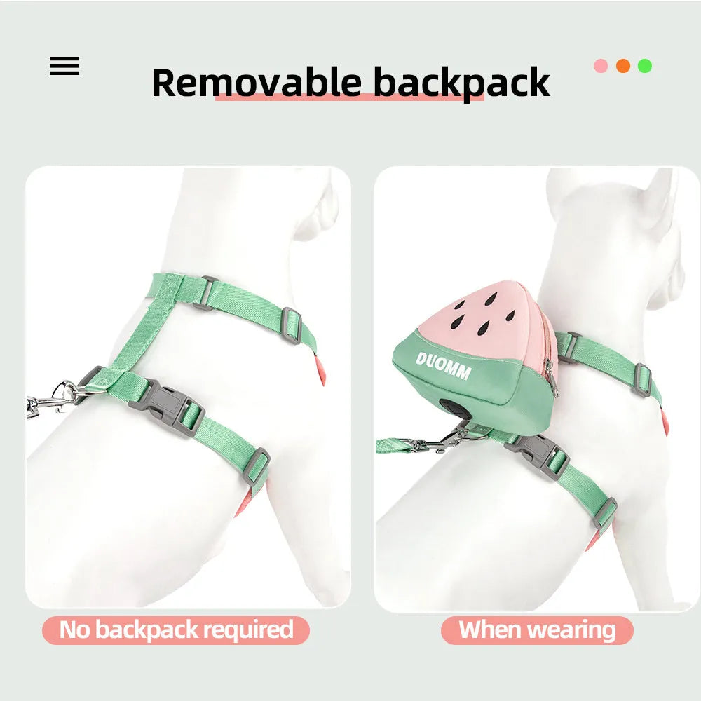 Green anti-slip pet chest strap and backpack set for a dog with a traction rope.