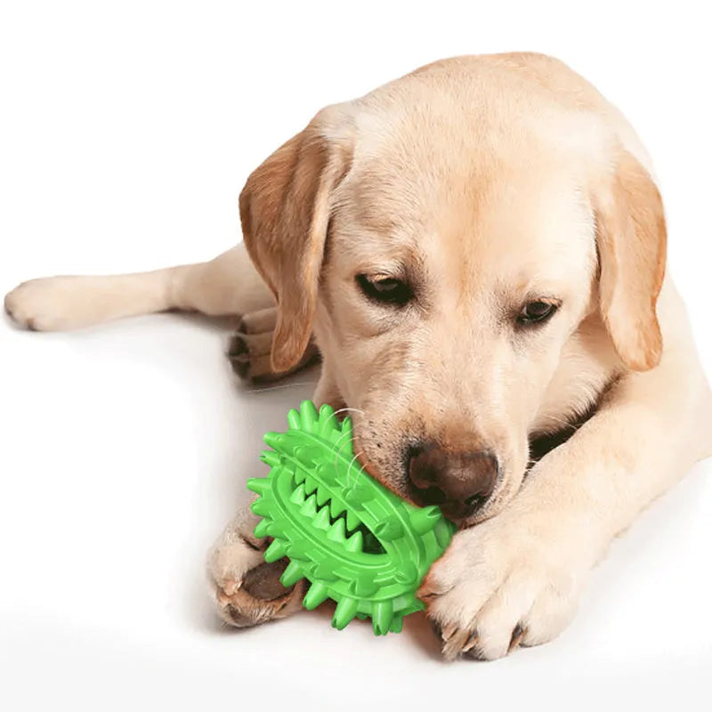 Green cactus-shaped rubber dog chew toy for dental care on a white background.