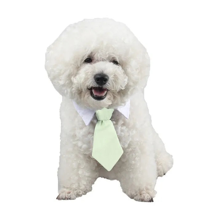 Cloth pet dog bow tie with cartoon print in multiple colours on a white background showing S and L sizes