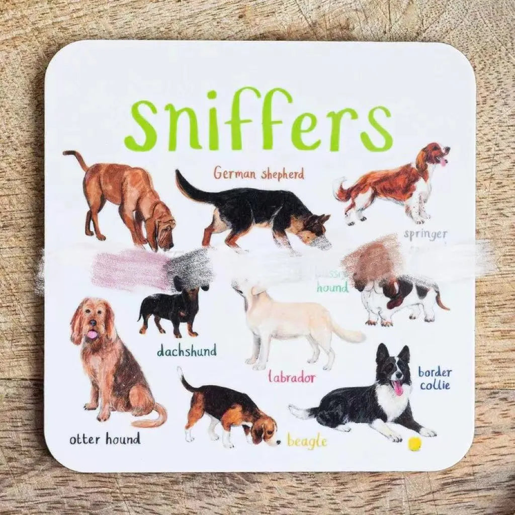 Set of 6 square bird pun coasters with PVC material, each featuring a different bird chart, 10x10x0.35 cm