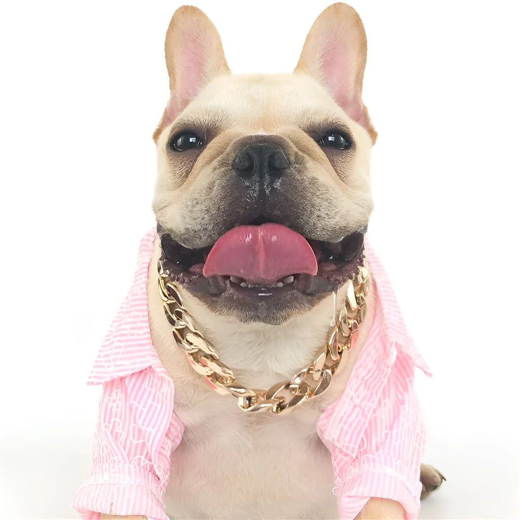 Gold colour dog collar with chain buckle and geometric design for small to medium sized pets