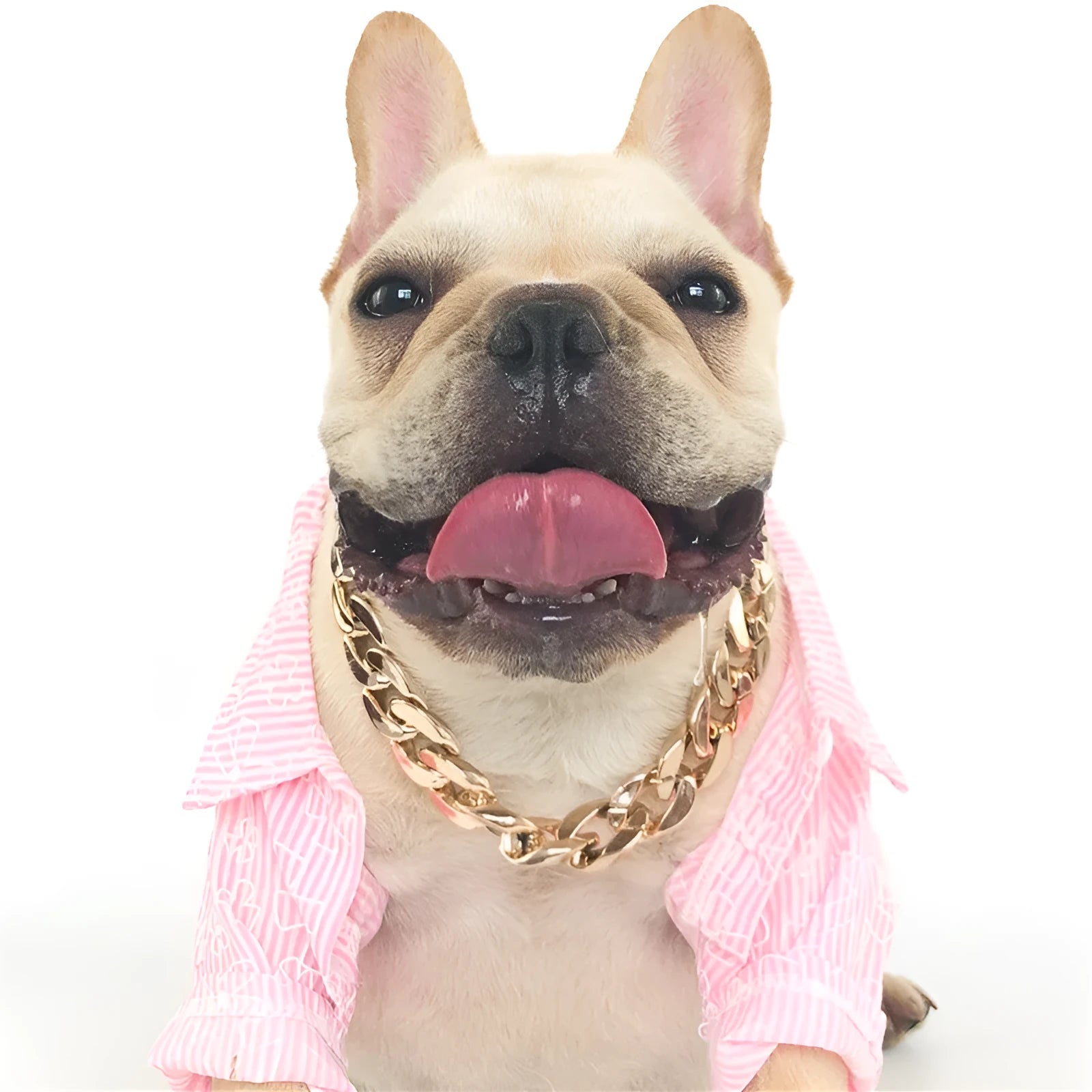 Gold colour dog collar with chain buckle and geometric design for small to medium sized pets